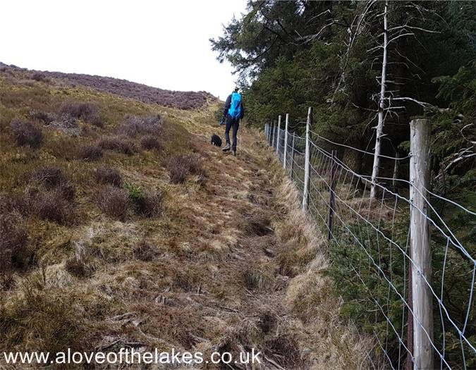 The steep climb