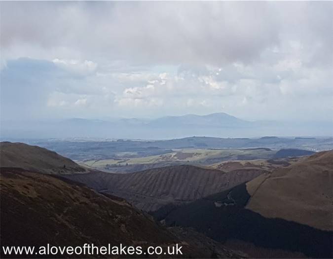 Whinlatter Fell walk
