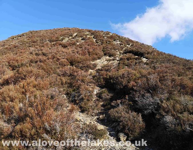 Climbing Whin Benn